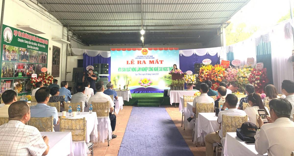 Bắc Ninh: Lễ ra mắt Hợp tác xã Sản xuất Nông lâm nghiệp Công nghệ cao Ngọc Thiện